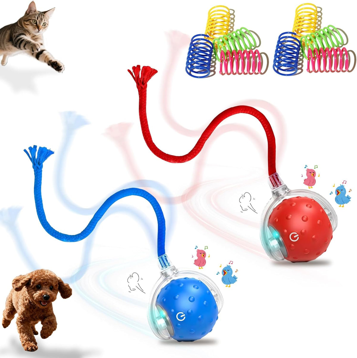 Petayouj interactive electric pet chasing ball set front view