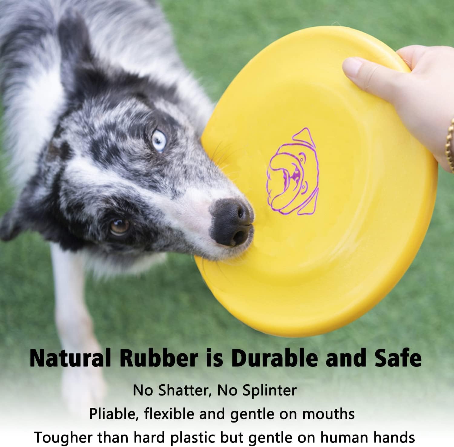 Dog catching Xigou rubber frisbee in a park