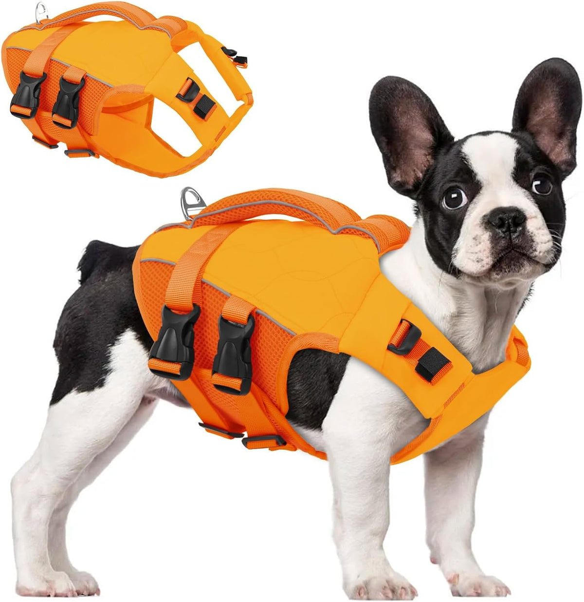 ASENKU Dog Life Jacket, High Floatation Dog Swimming Vest with Rescue Handles for Small Medium Large Dogs, Pet Safety Swimsuit Preserver for Pool Beach Boating (LakeGreen, L) - Image 13