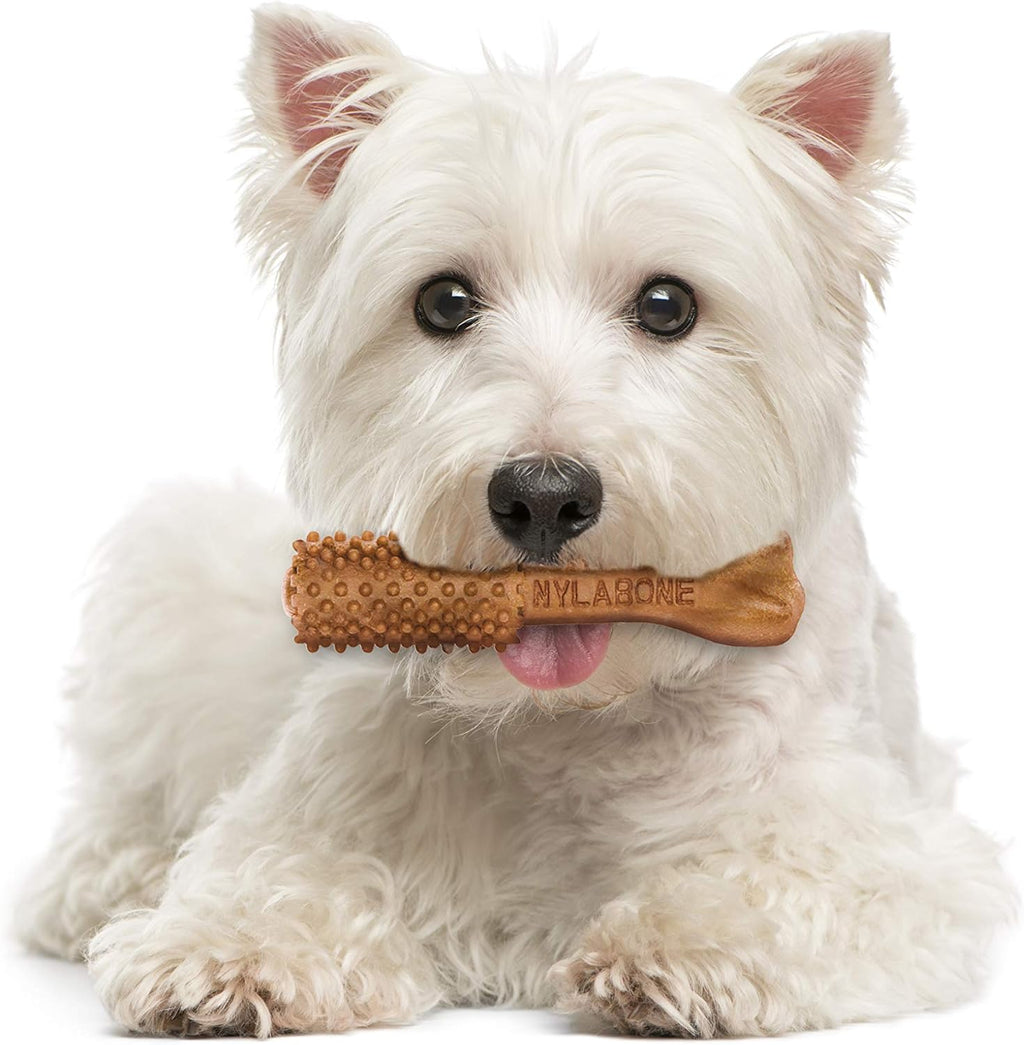 Authentic USA imported Nylabone small breed dental care products back panel