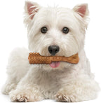 Authentic USA imported Nylabone small breed dental care products back panel