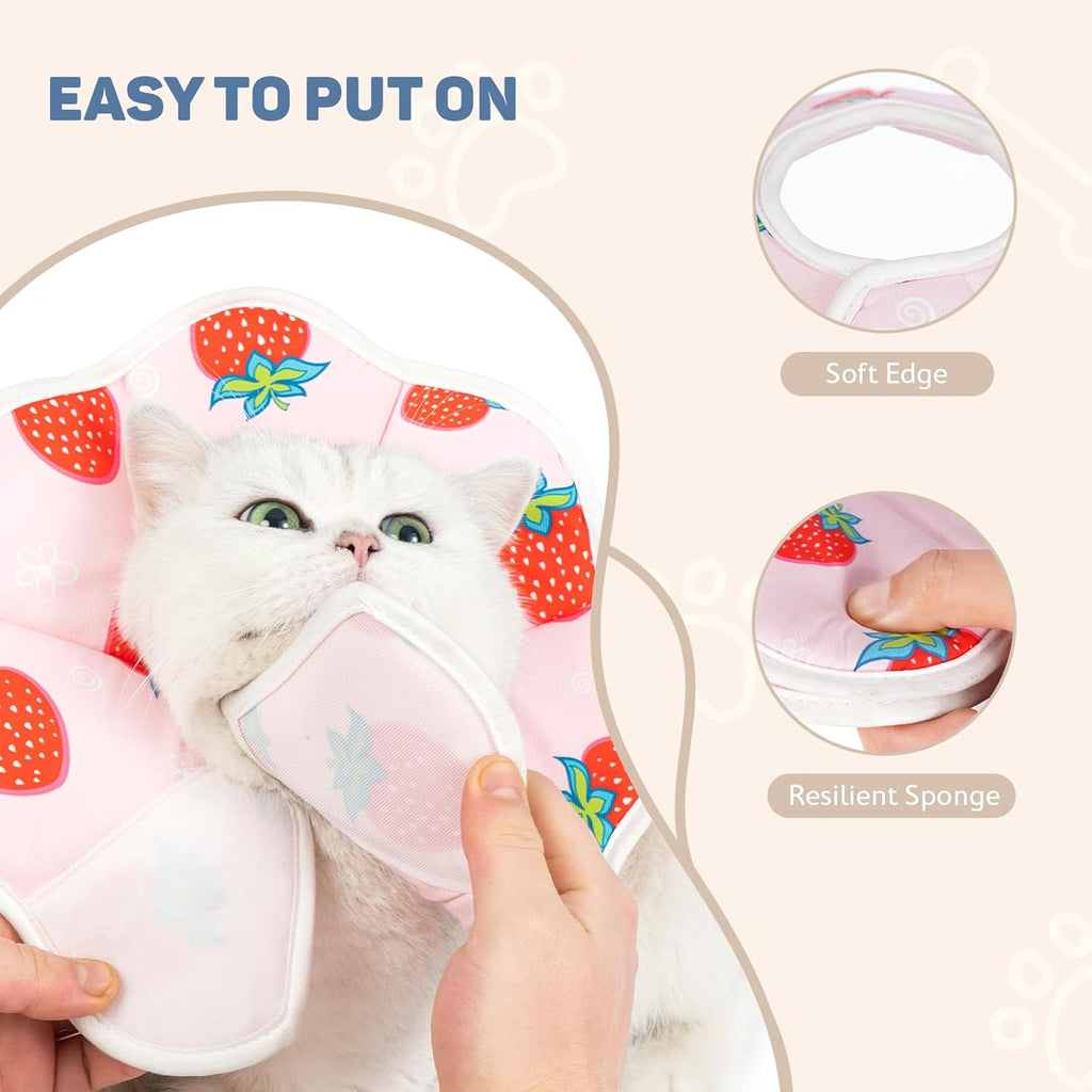 Avont strawberry pattern cat recovery collar on a kitten