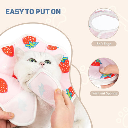 Avont strawberry pattern cat recovery collar on a kitten