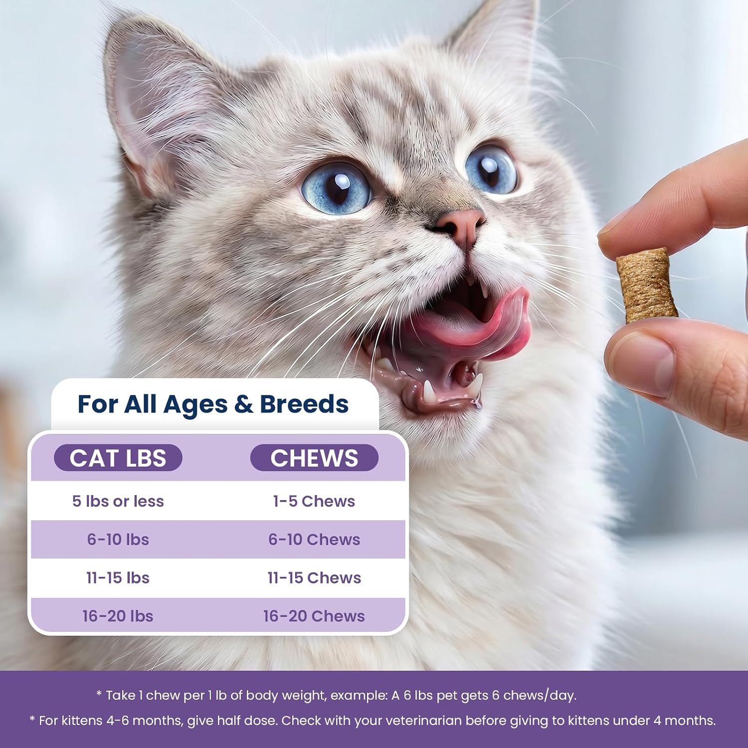 Instructions and serving size panel on PLBKCTS Weallin 500 count pet supplement jar.