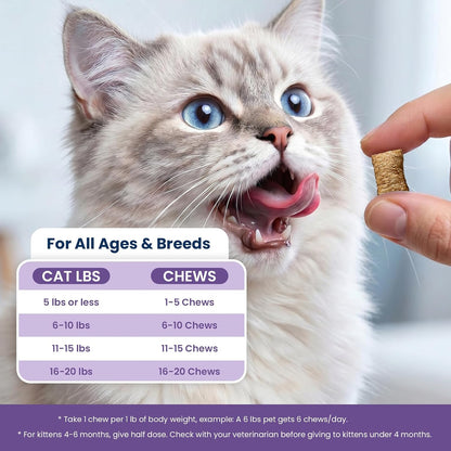 Instructions and serving size panel on PLBKCTS Weallin 500 count pet supplement jar.