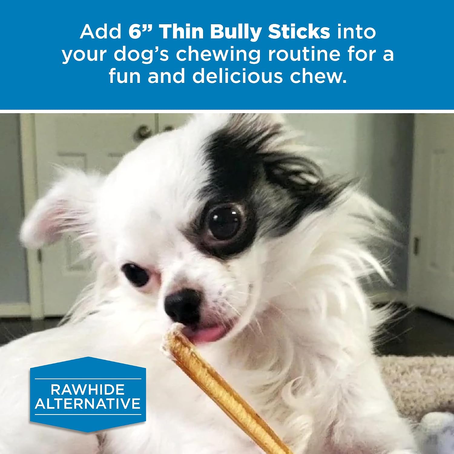 Authentic USA imported grain free healthy treats for senior dogs