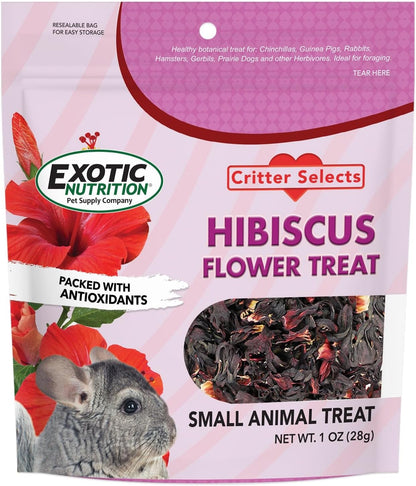 Exotic Nutrition Hibiscus Flower Treat front view packaging of the natural dried flower herbivore supplement
