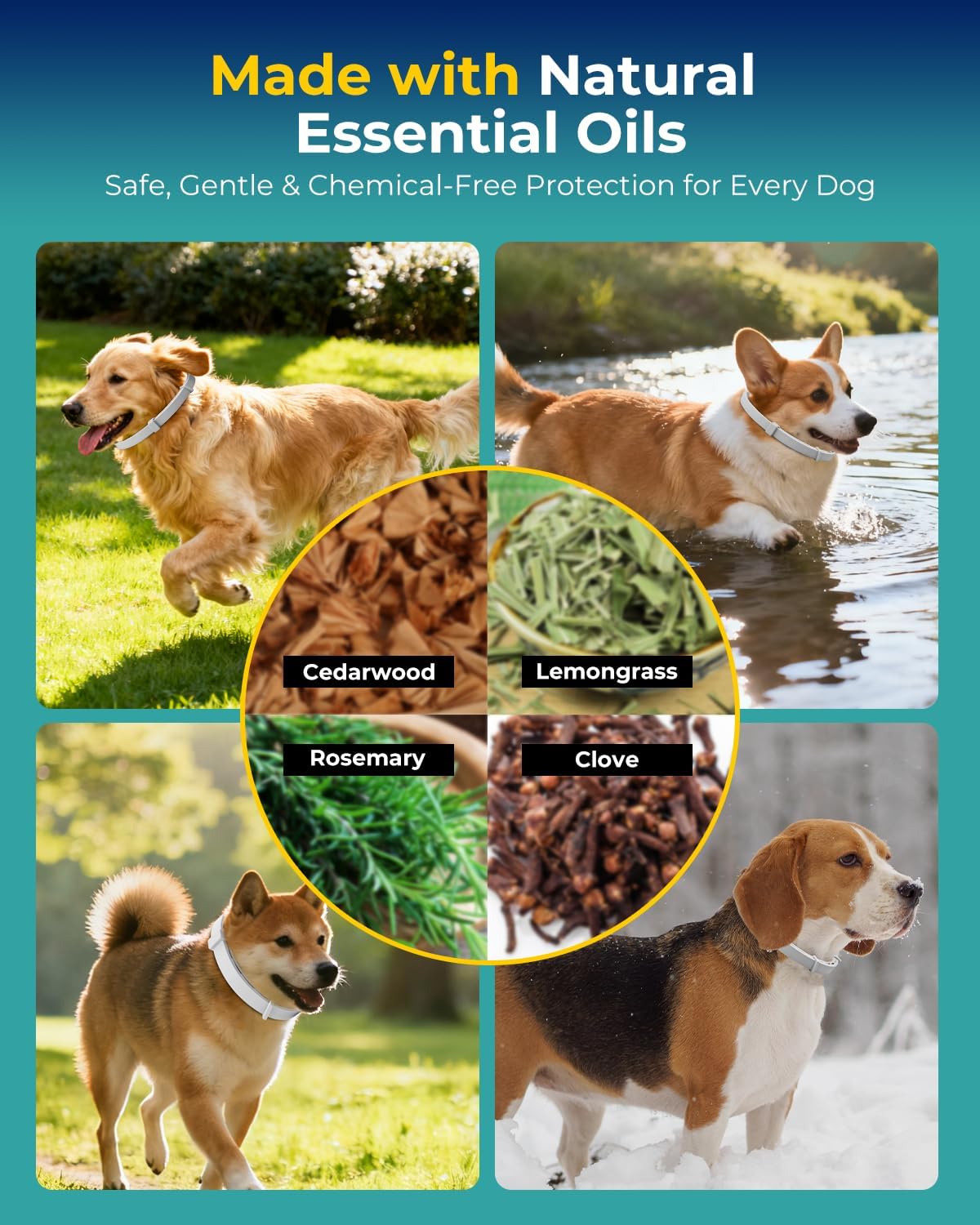 Flea and tick collar for dogs under 18 pounds
