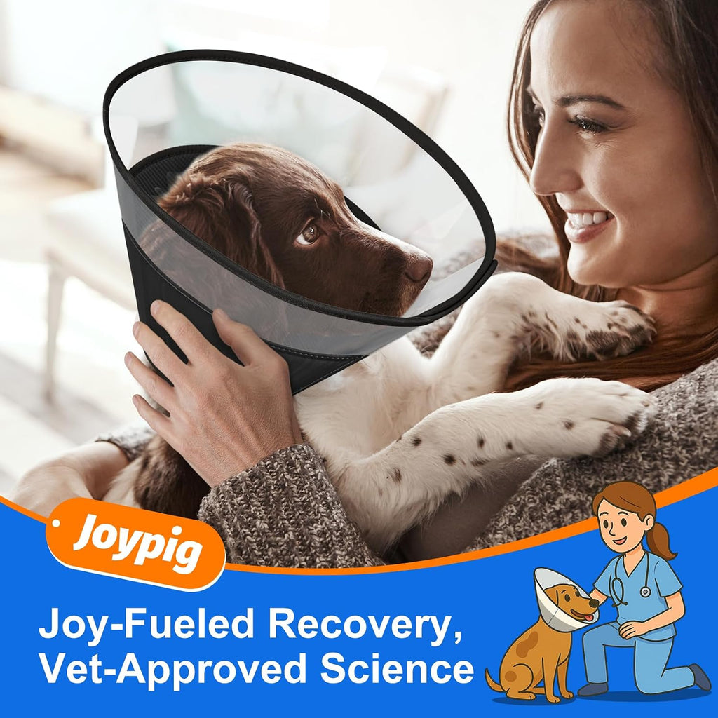 Joypig clear dog recovery cone showing dual layer neck padding