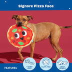 Durable Barkbox pet toy for puppy essentials and interactive fetch sessions