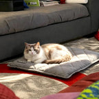 Mora Pets self warming pet pad thick plush cushioning layers close up view