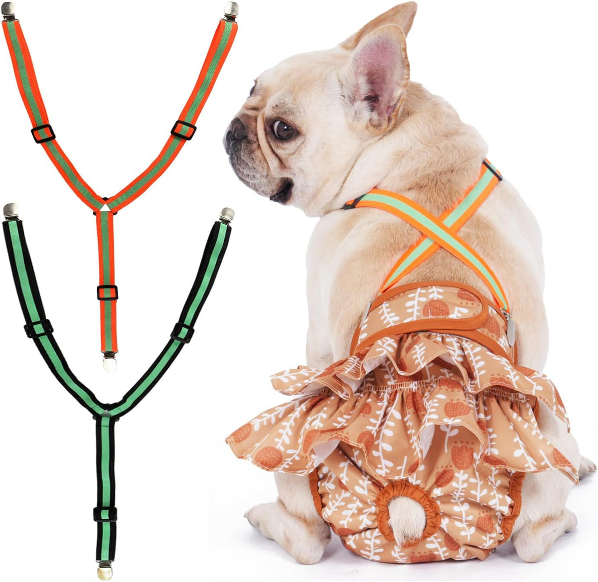 Hisprout detachable dog diaper suspenders small size front view showing orange and green straps