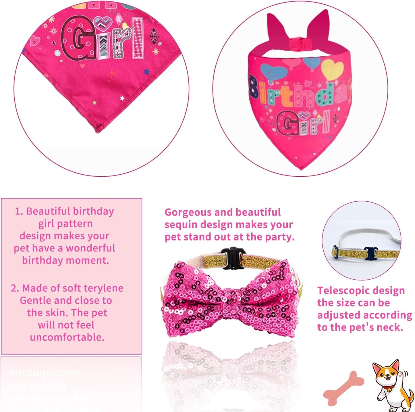 Dog birthday party outfit kit on a medium size pet
