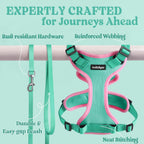 Rabbitgoo cat harness back D-ring for leash attachment