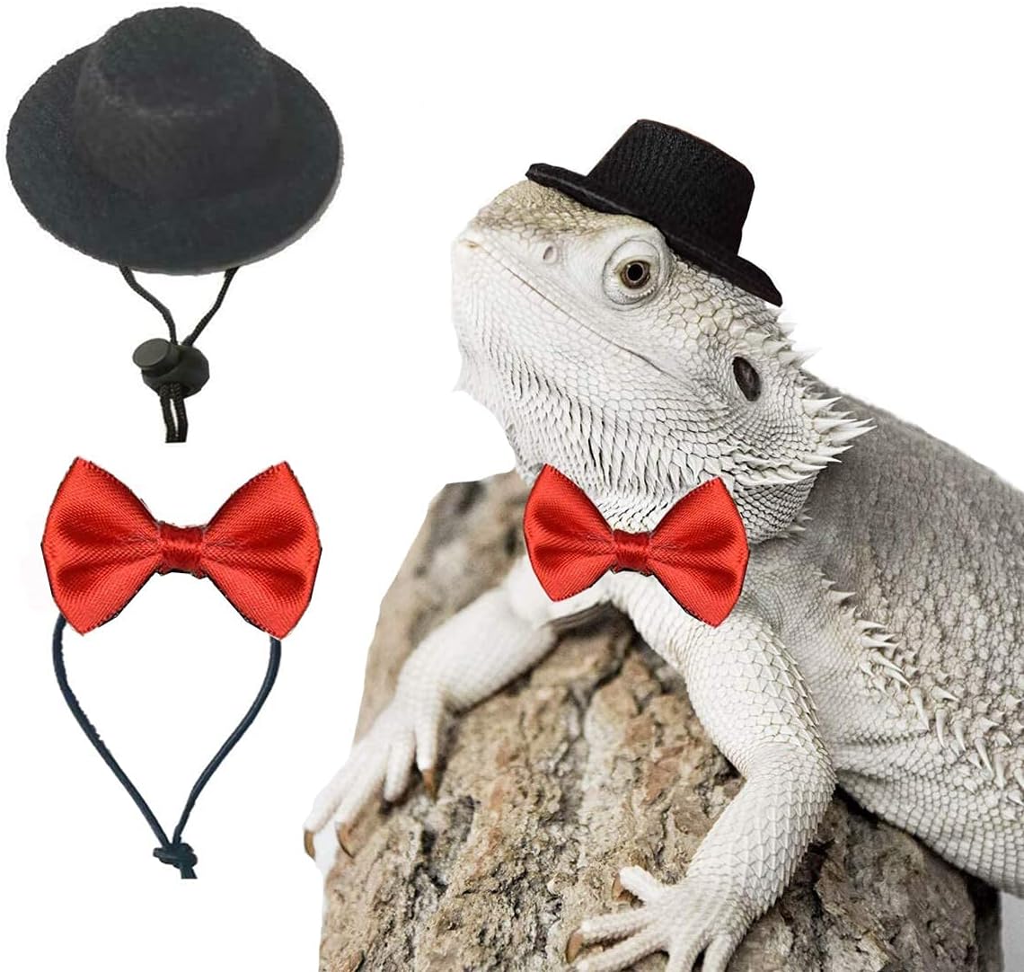 DuvinDD bearded dragon clothes front view showing the adjustable black top hat and red bowtie on a small lizard.