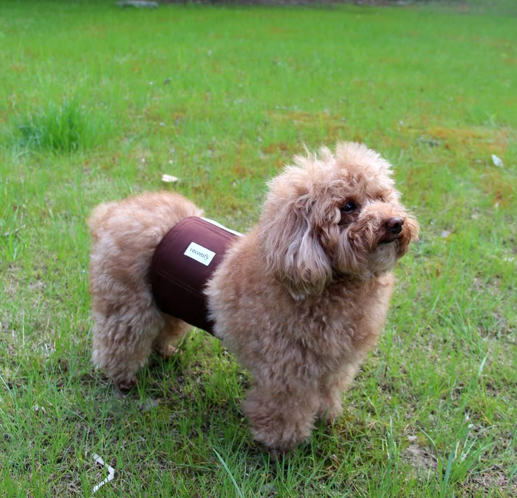 Breathable inner mesh lining view of a small male dog belly band.