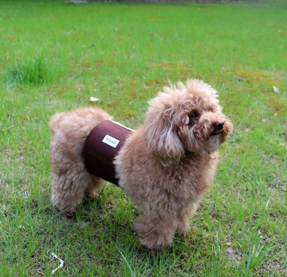 Breathable inner mesh lining view of a small male dog belly band.