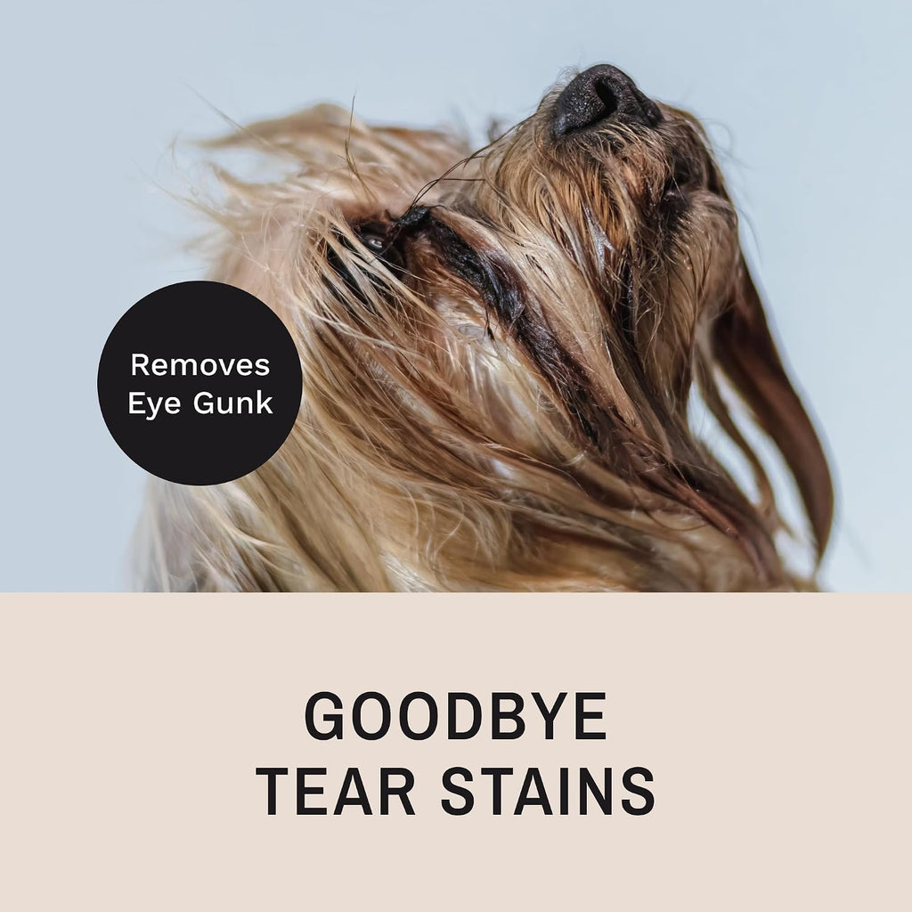 Eye Envy dog and cat facial groomer close up highlighting the rust resistant metal pins