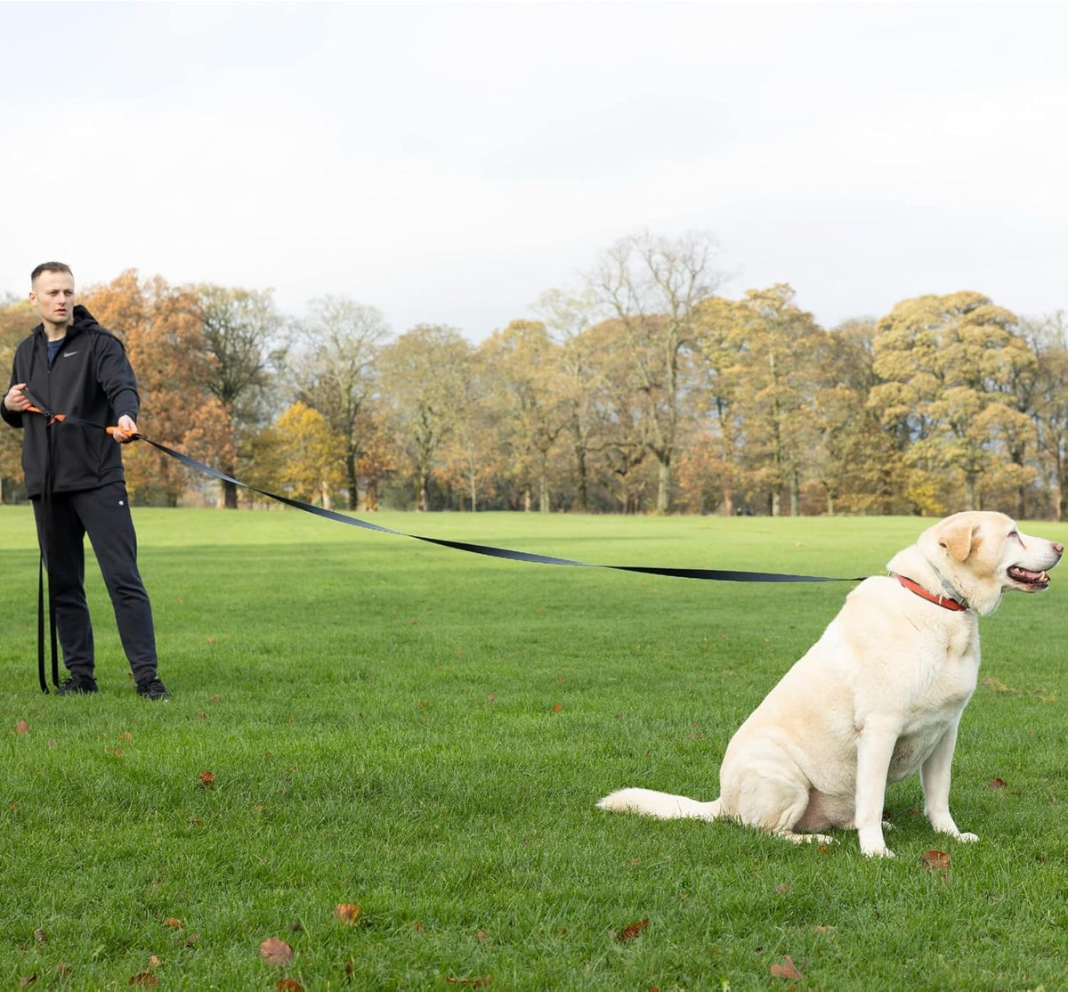 50ft Long Leash for Dogs - Long Line Dog Leash for Training Recall/Commands at Distance - Nylon, Heavy Duty - Ideal for Large & Small Breeds - Image 9