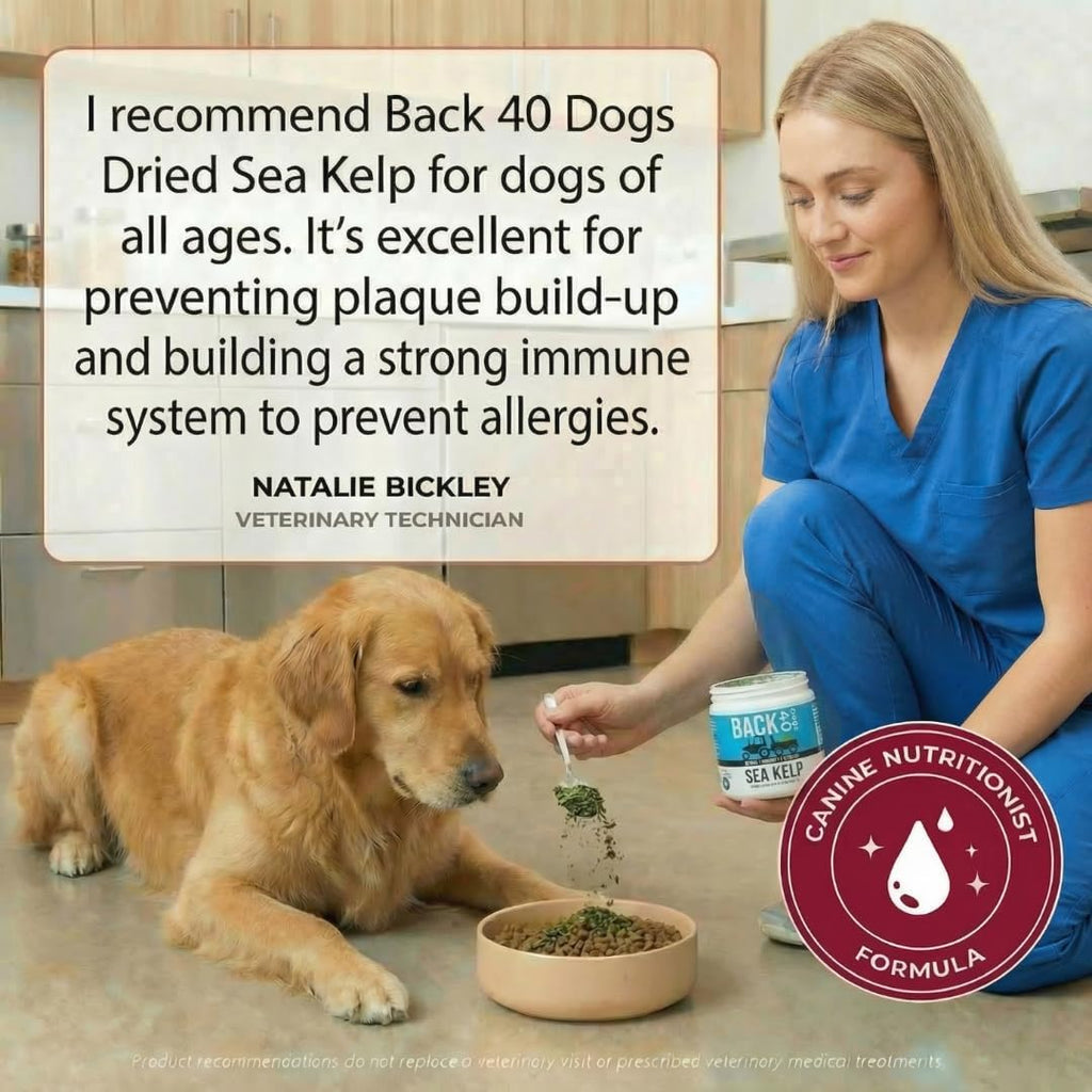 Organic Kelp Powder for Dogs, Dried Sea Kelp Supplement for Thyroid Function, Dental Health, Immune Support, Digestion, Skin & Coat - Iodine Rich - Multivitamin for Cats & Dogs - Made in USA - Image 9