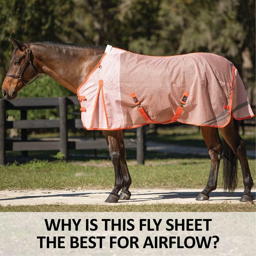 Schneiders Lilac horse fly blanket side view showing Euro surcingle