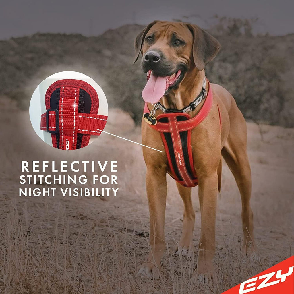 EzyDog chest plate harness showing quick-release buckles.