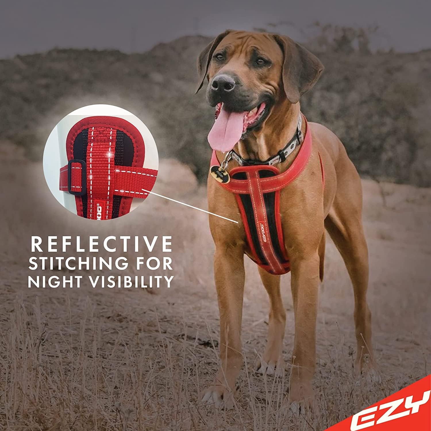 EzyDog no pull harness adjustable straps side view