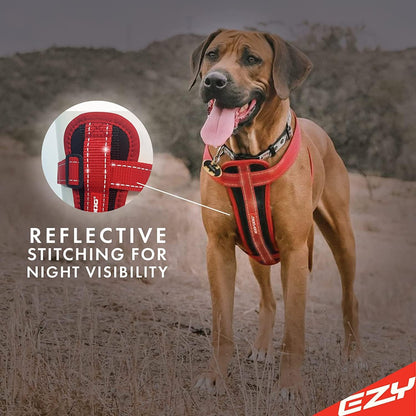 EzyDog no pull harness adjustable straps side view