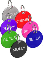 Reverse side view of a custom engraved cat identification tag with contact details.
