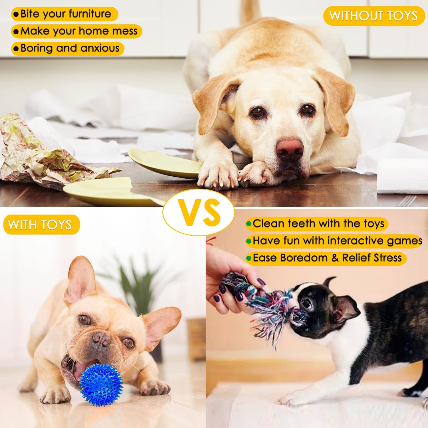 Small dog playing with an Aipper interactive toy