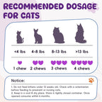 Immune boost and coat care allergy remedy for cats experiencing dry skin.