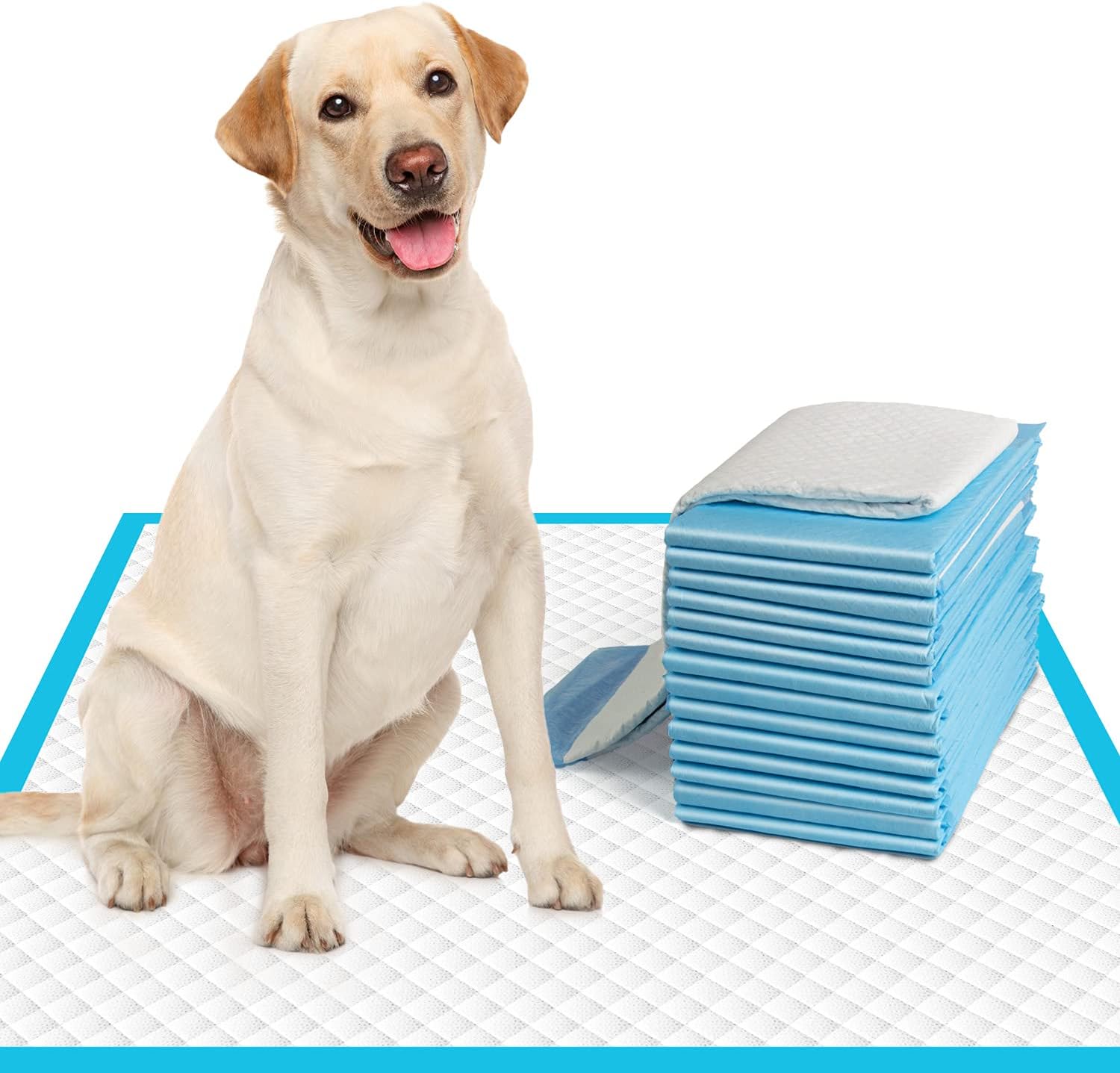 IMMCUTE large dog pee pads front packaging view showing fifty count training sheets