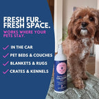 Mimo Mimo Paws alcohol free dog deodorizer spray for sensitive skin