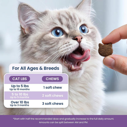 Authentic USA imported PLBKCTS feline behavioral supplement soft chews for indoor cats.