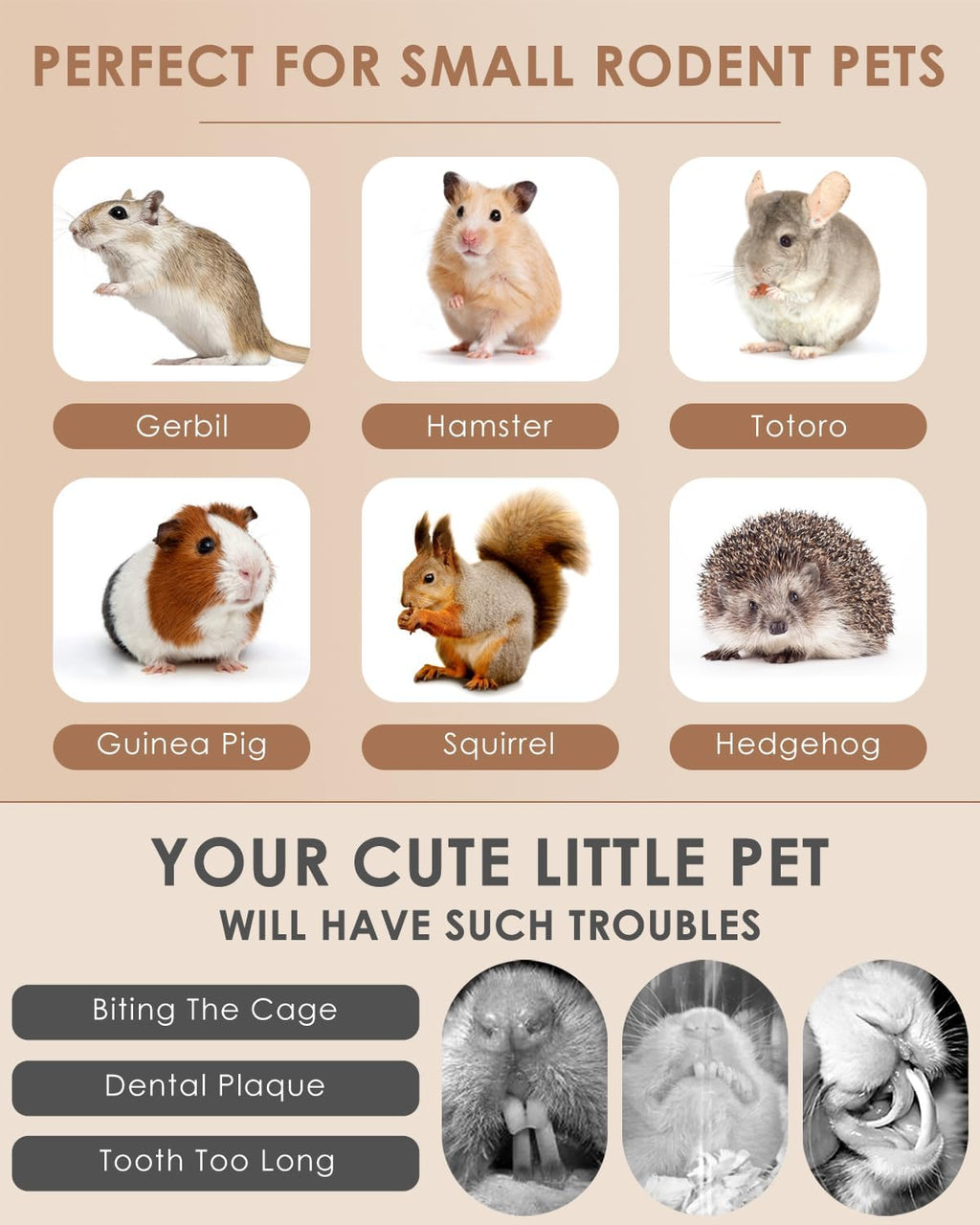 Interactive molar snack toy for small cage animals to reduce boredom