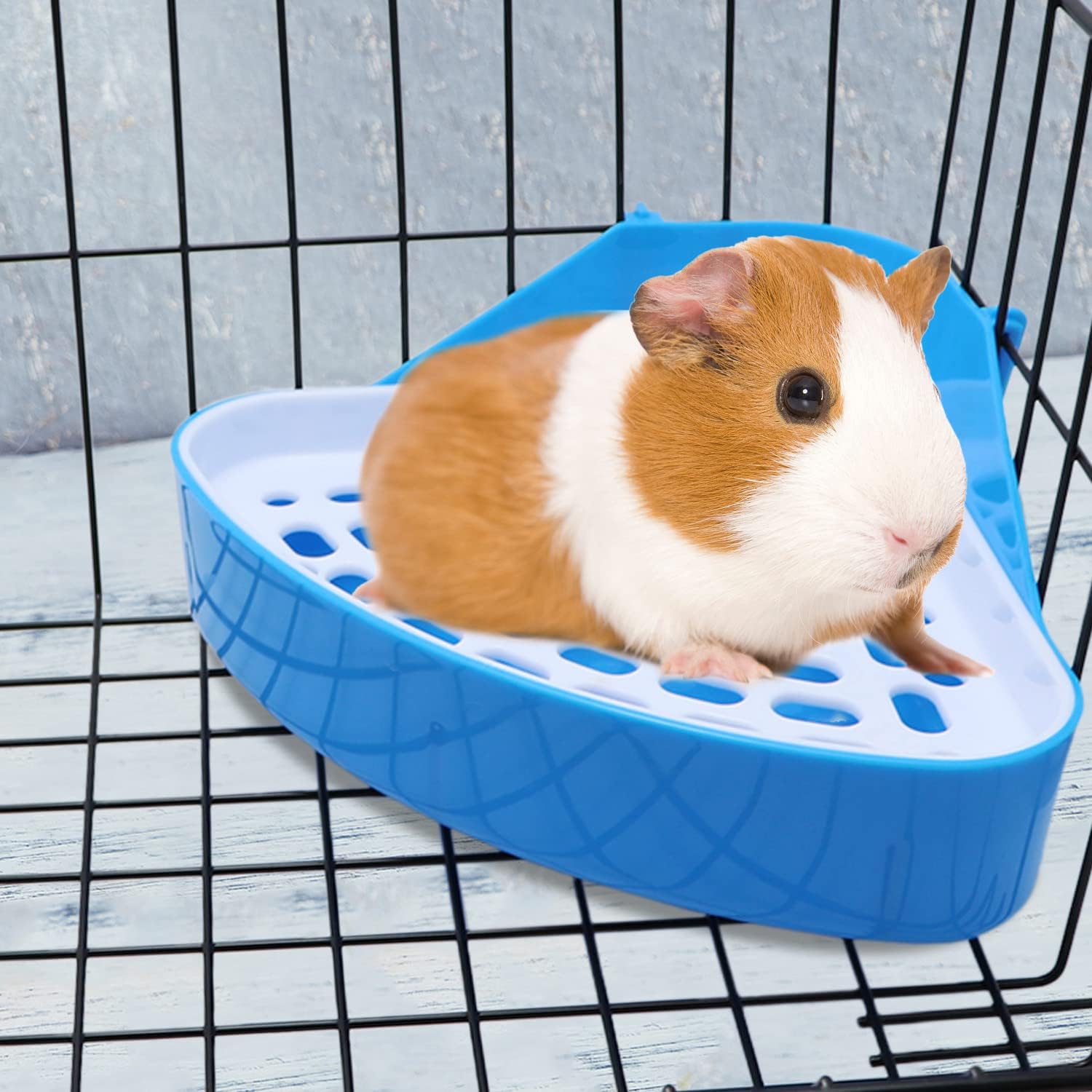 Blue rabbit litter trainer box top view