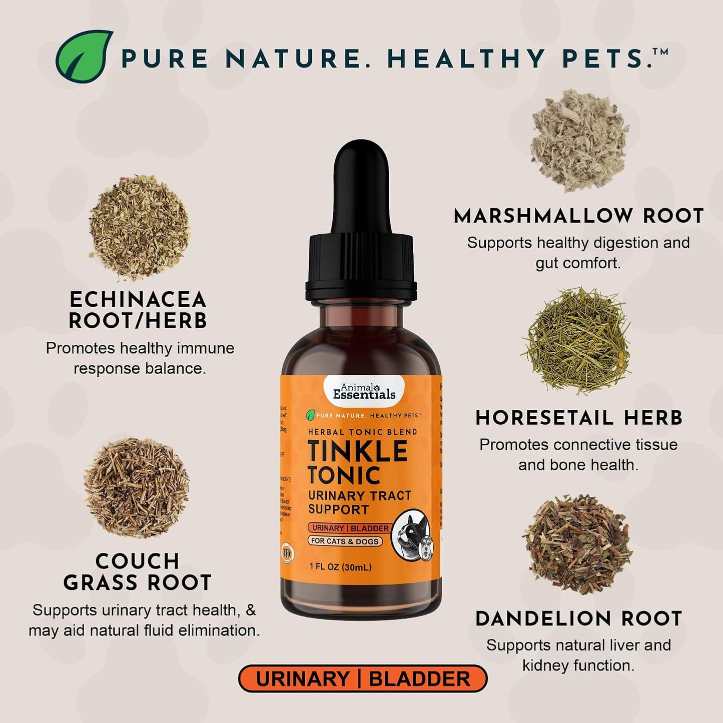 Liquid dropper of Tinkle Tonic alcohol free bladder health formula