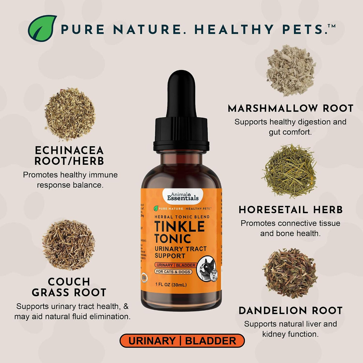 Liquid dropper of Tinkle Tonic alcohol free bladder health formula