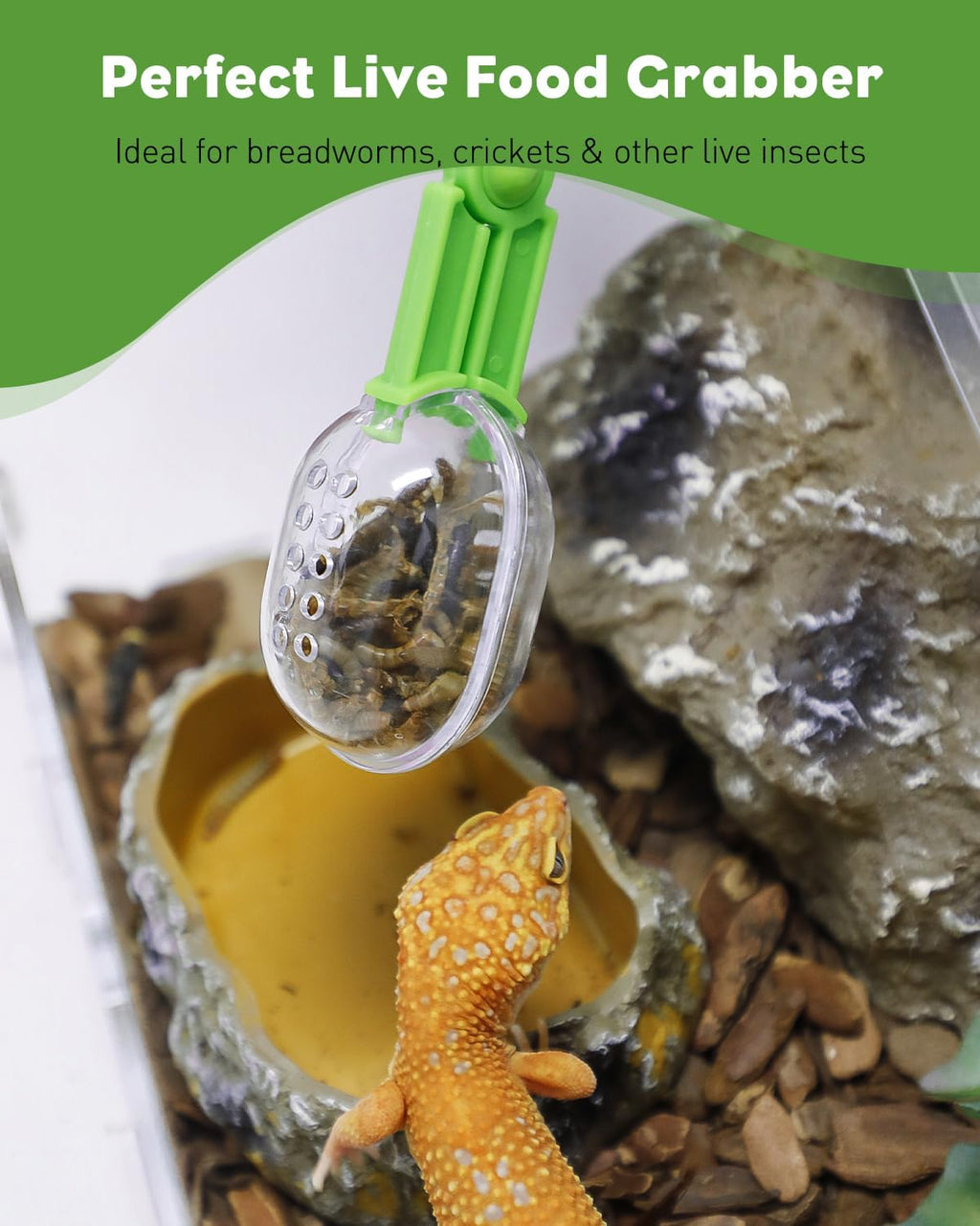 Close up view of the durable ABS plastic reptile waste cleaning clamp by Pawfly