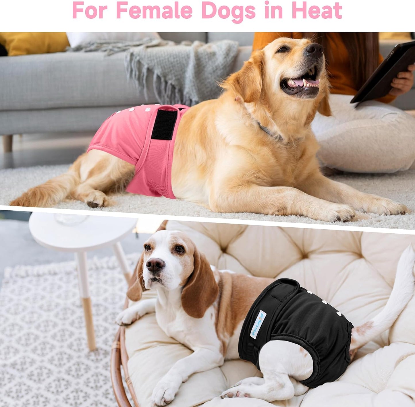 Three pack of Paw Legend waterproof female dog diapers for heat cycles