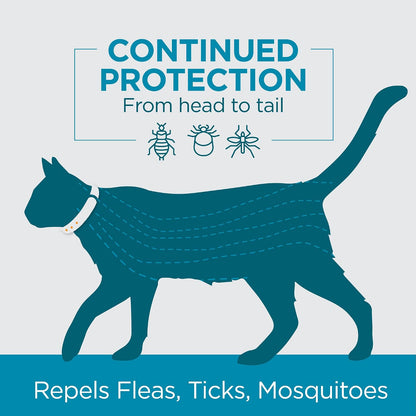 Close up of TevraPet Proact botanical flea collar for cats
