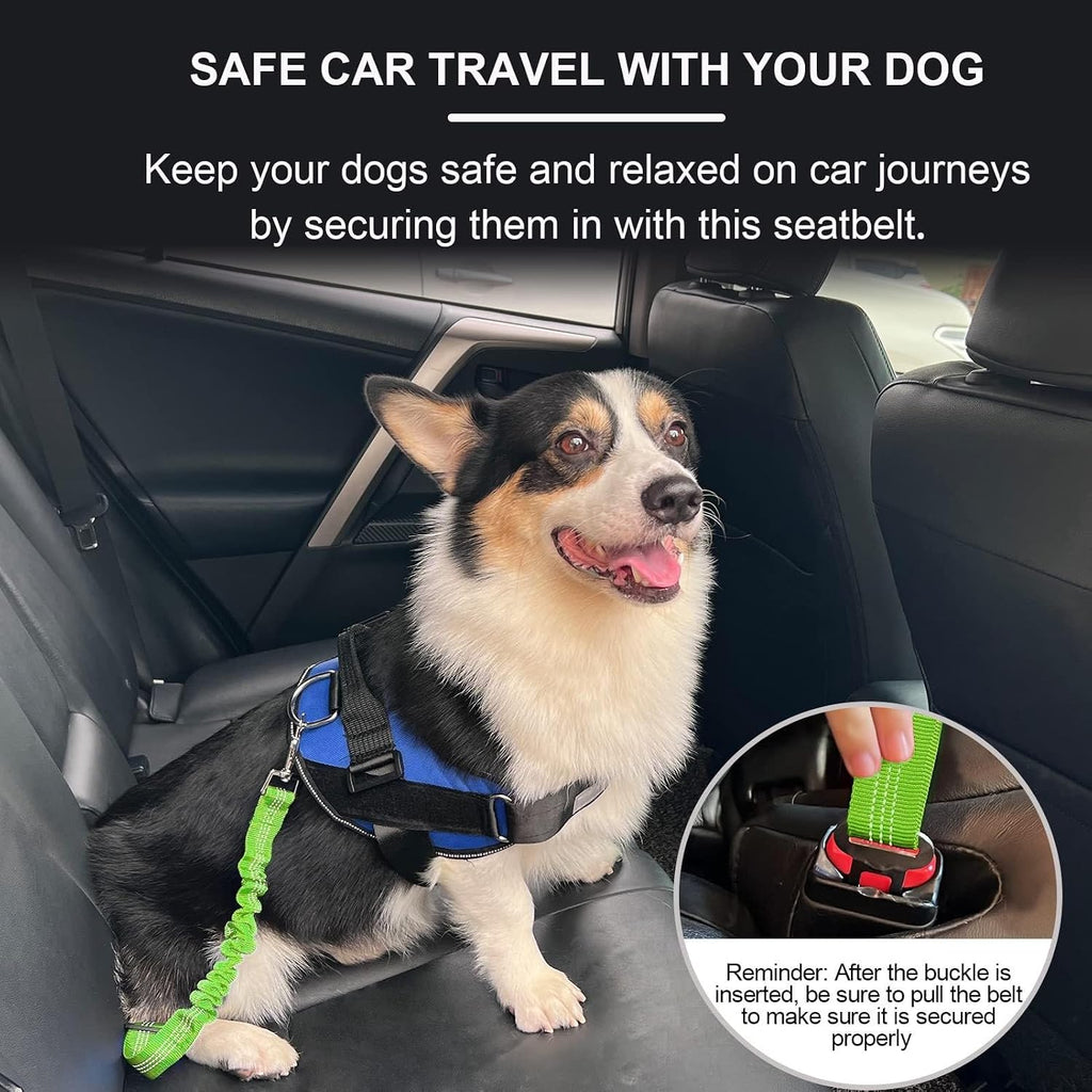 Close up of Petangel pet car restraint buckle mechanism