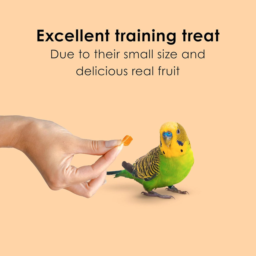 Close up of Kaytee natural dried papaya fruit treats for pet birds