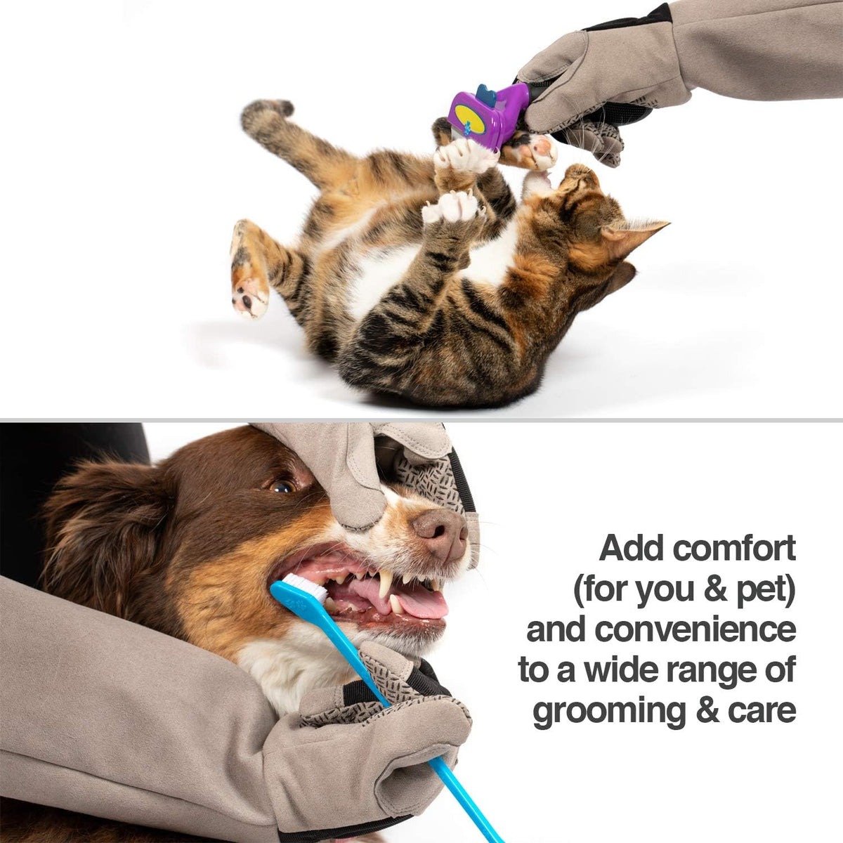 PetFusion non toxic protective glove pair for bird and ferret handling