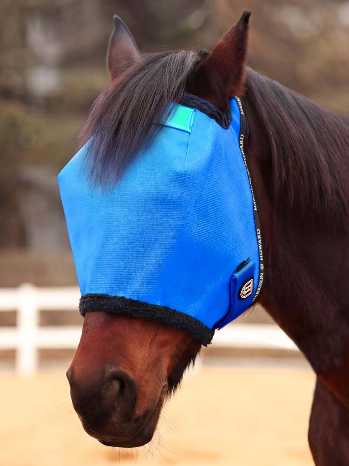 Harrison Howard fly mask forelock opening design