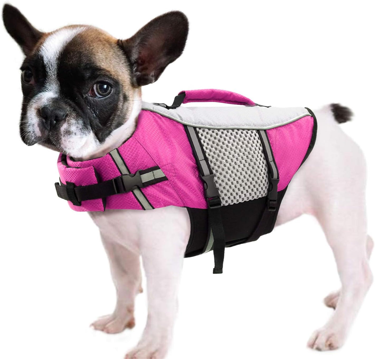Queenmore dog life jacket front view pink small swimming vest for small dogs