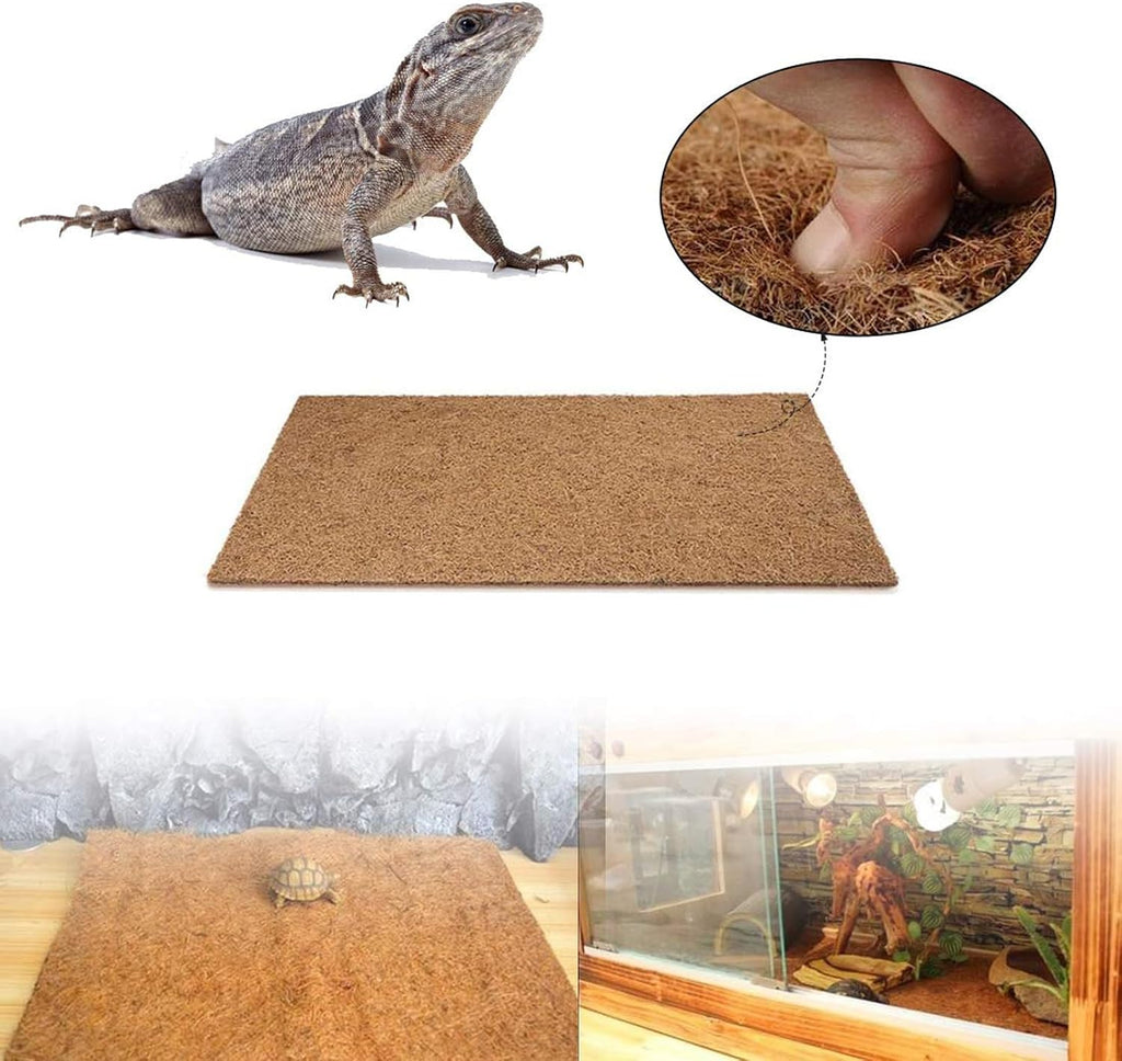 Reptile resting safely on PINVNBY coconut fiber terrarium carpet