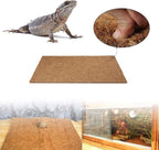 Reptile resting safely on PINVNBY coconut fiber terrarium carpet