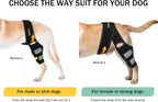 Lyderpet neoprene dog knee wrap showing internal metal springs