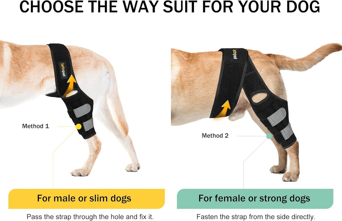 Lyderpet neoprene dog knee wrap showing internal metal springs